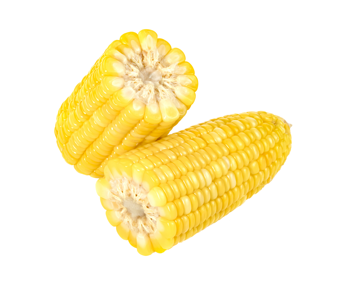 sweet corn isolated png