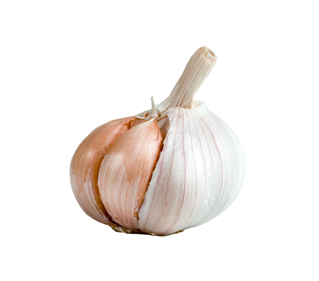 Raw garlic isolated png