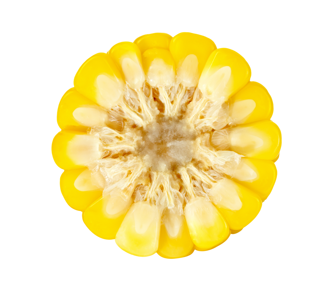 sweet corn isolated png