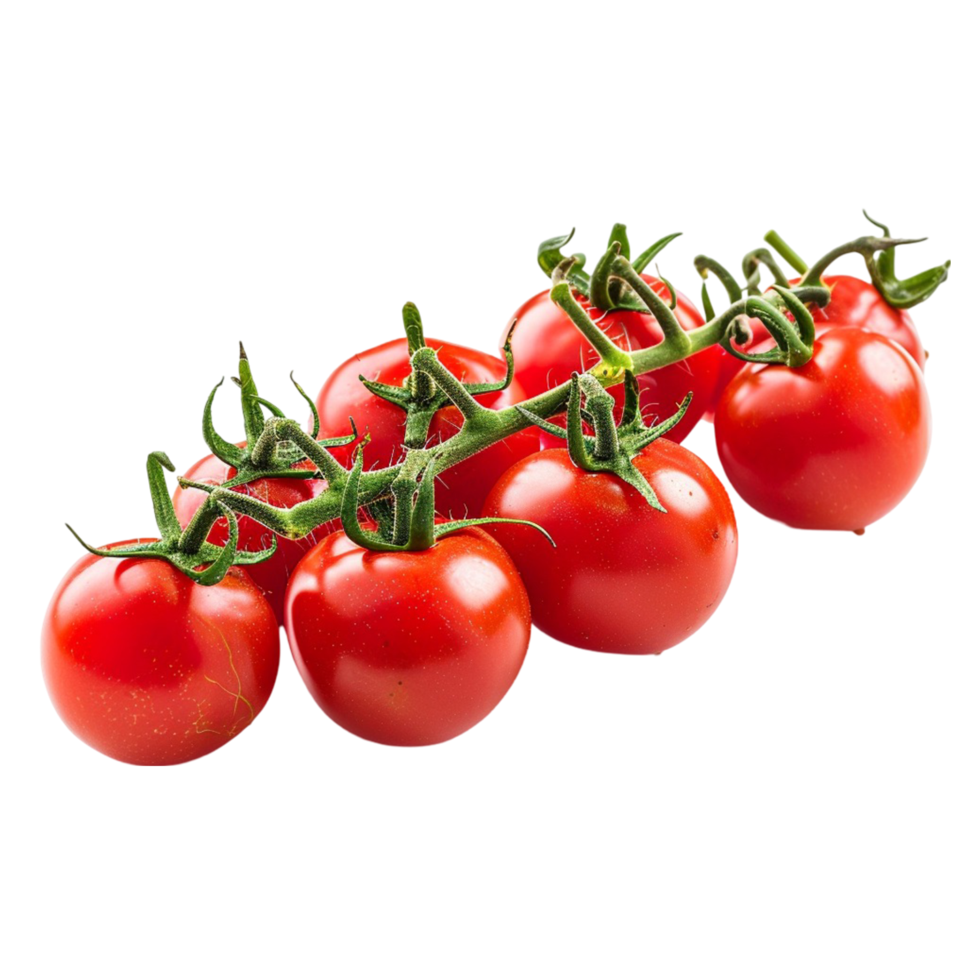 The Roma Tomato Secret: Is It Really A Plum Tomato? - 4gpd718
