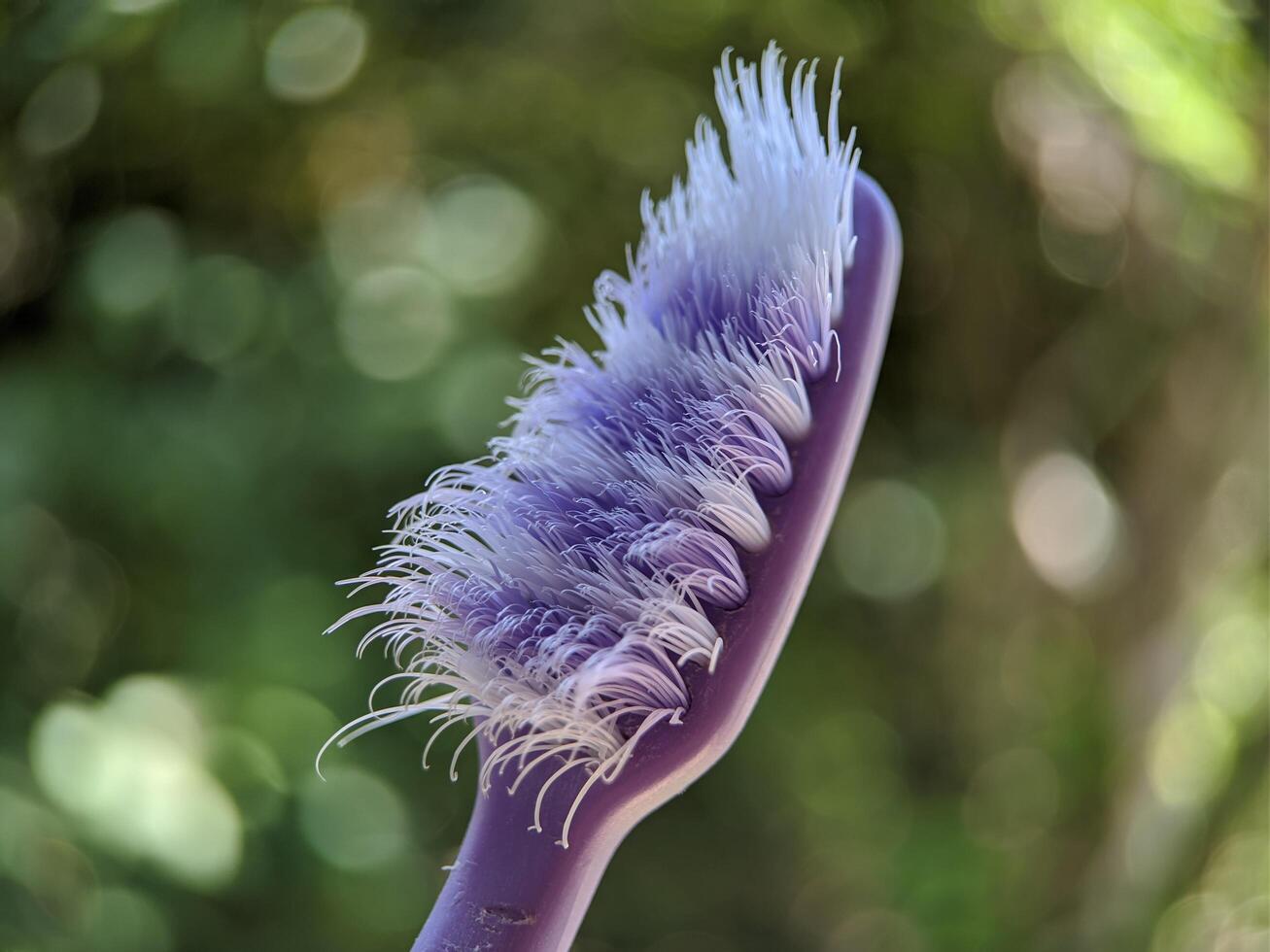 macro de cepillo de dientes con extremo difuminar en antecedentes foto