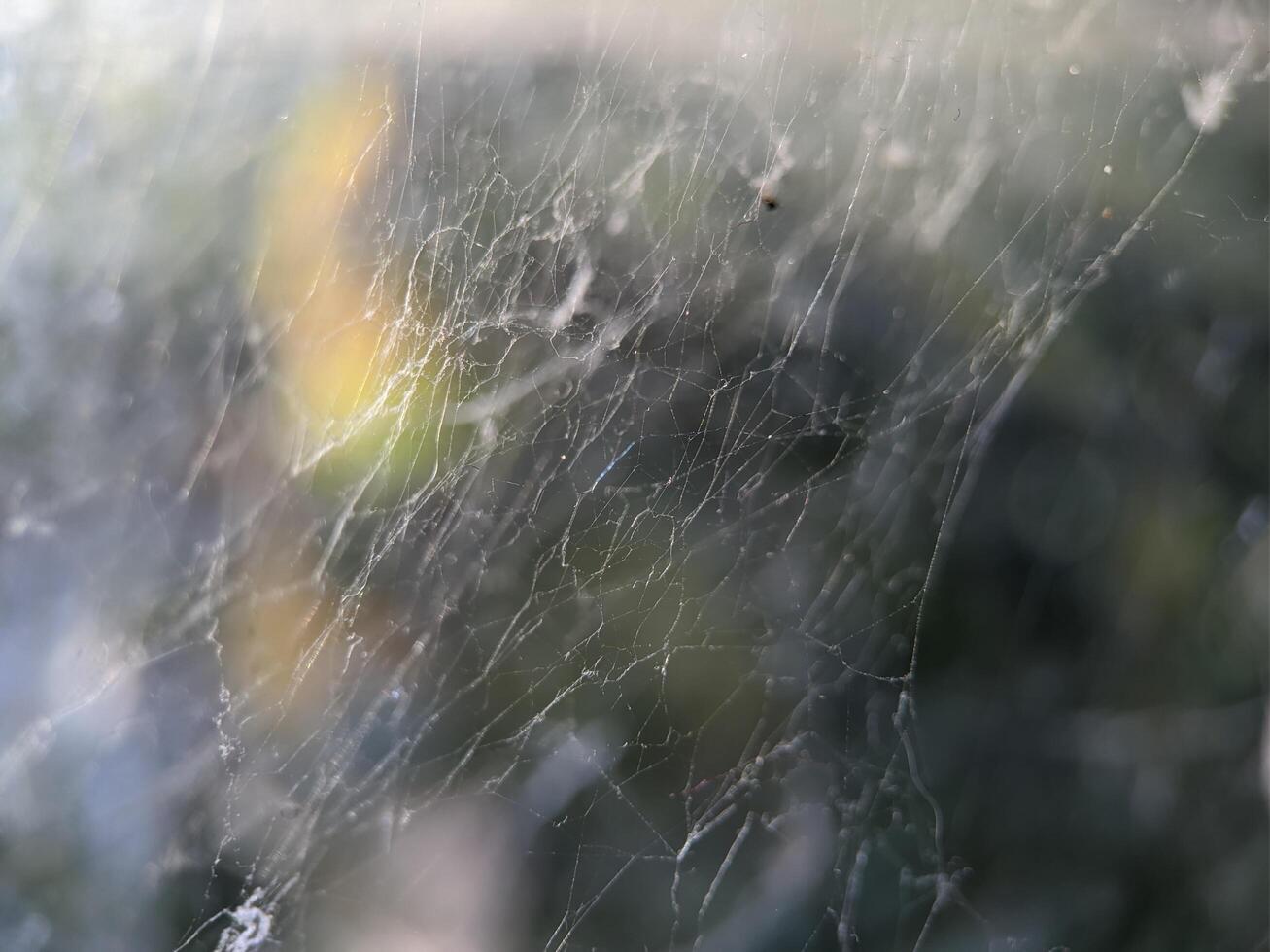 Macro of spider web texture photo