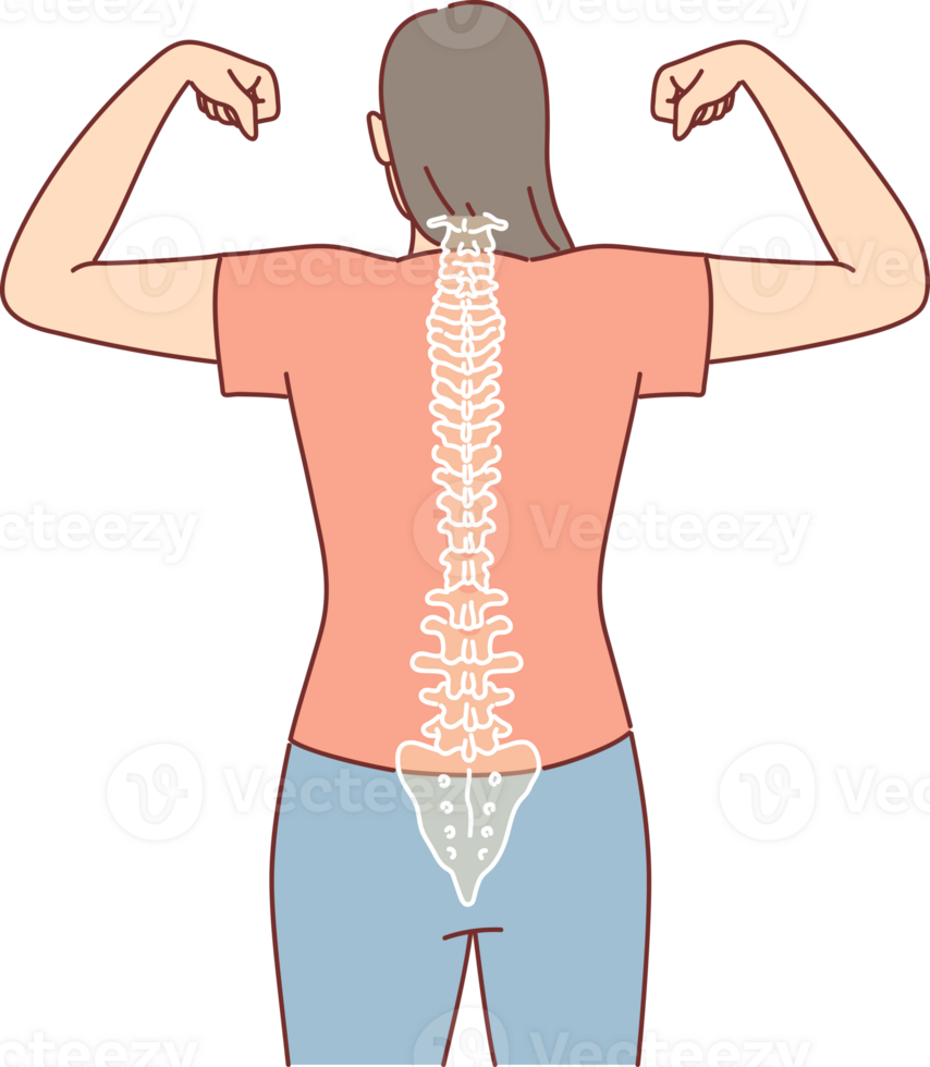 Woman with good posture and straight spine shows biceps, standing with back to camera. Strong casual girl proud of healthy posture thanks to going for massage to chiropractor or osteopath png