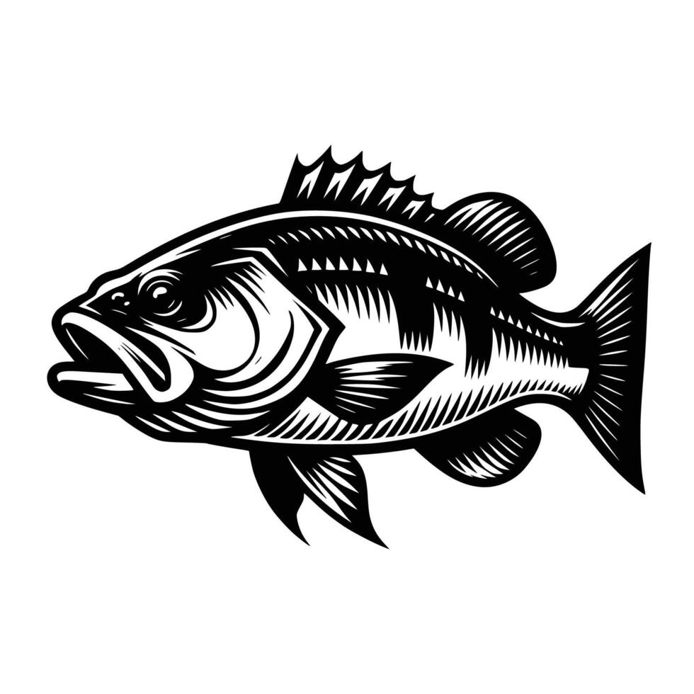 Bass fish illustration Free art vector