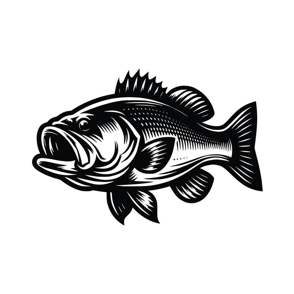 Bass fish illustration Free art vector