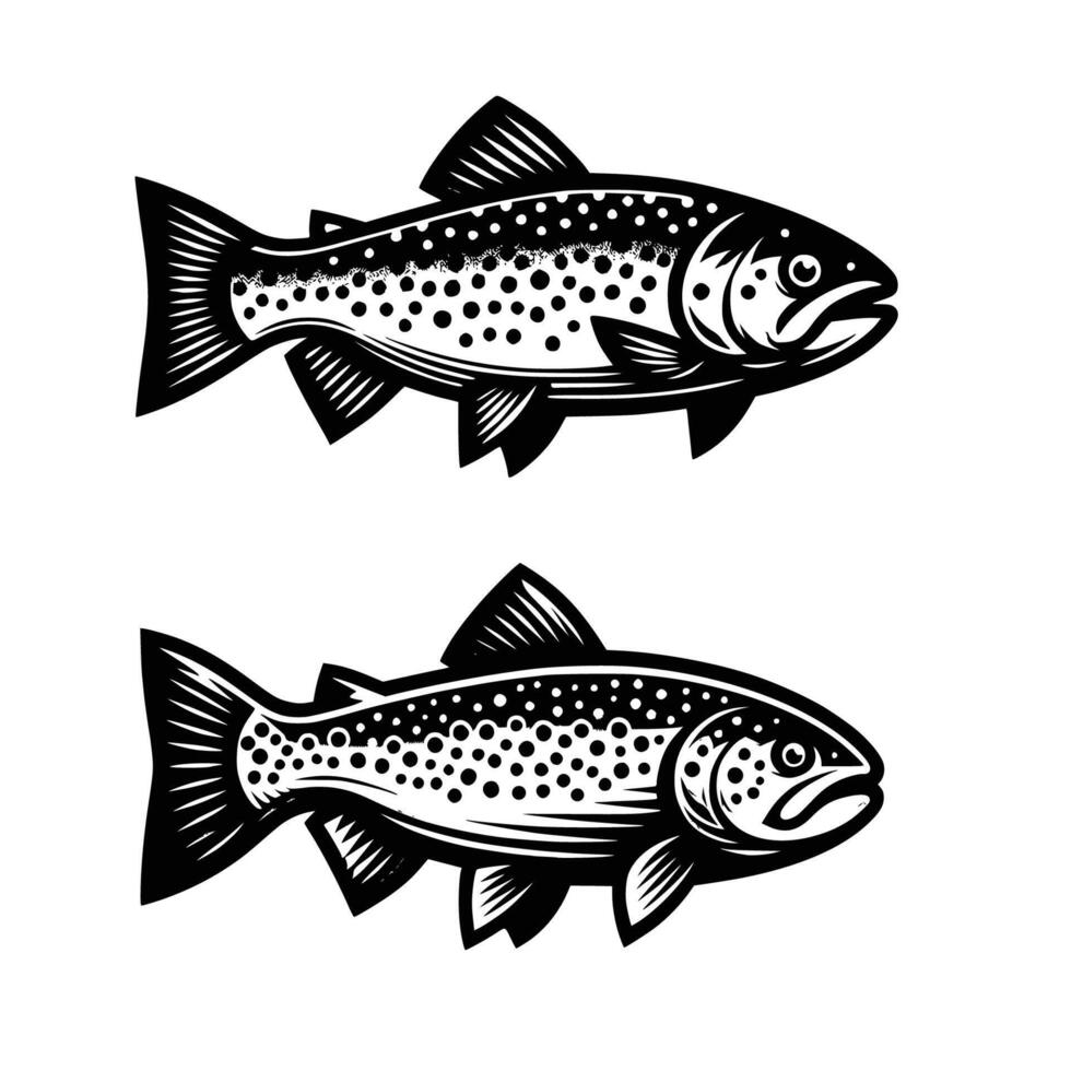 Bass fish illustration Free art vector
