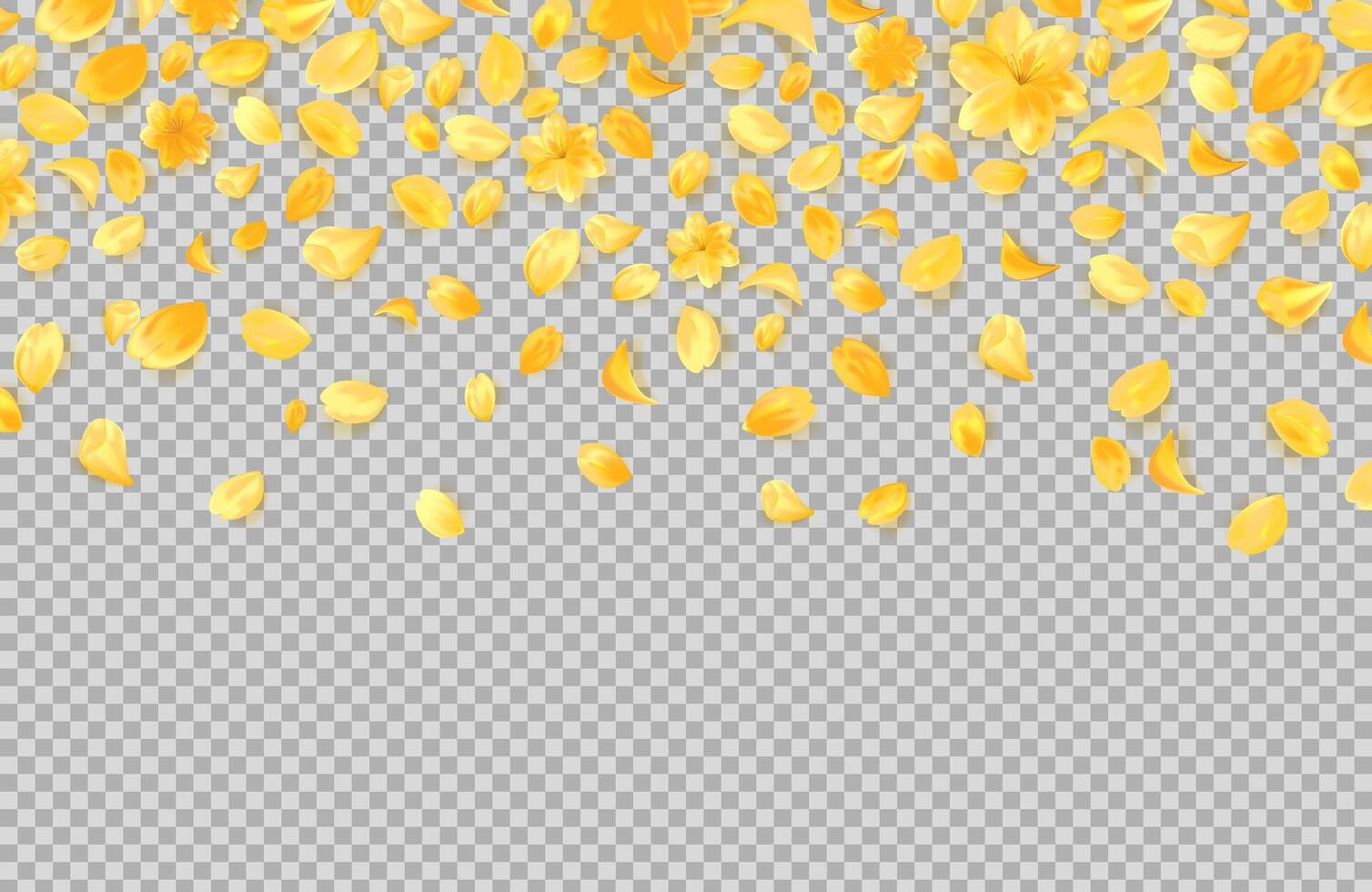 Gold yellow petals falling from above. vector