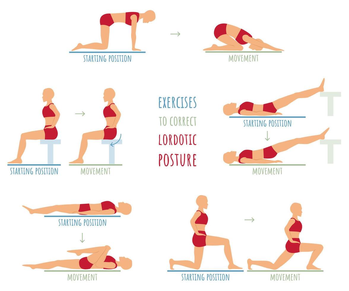 Workout for a lordotic back. Educational instructions for physiotherapist, starting position and movement. vector