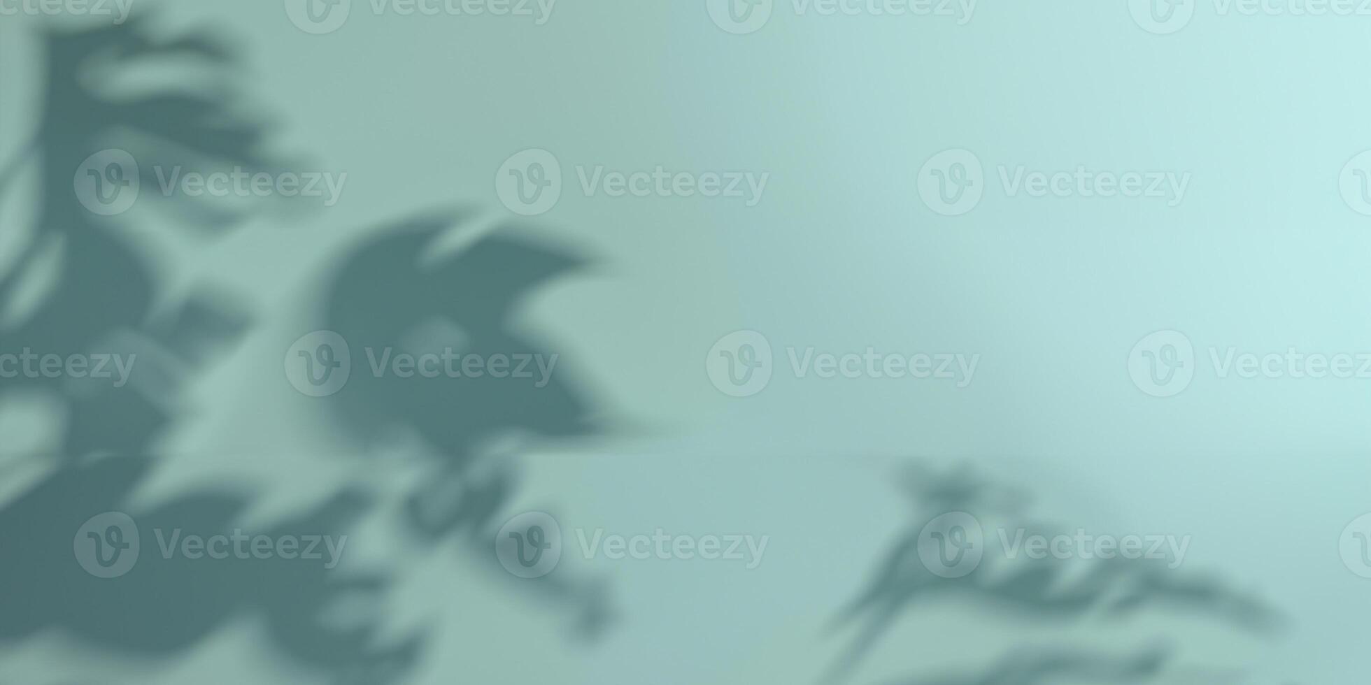 Exotic Monstera Plant Leaves Silhouetted in Shade. photo