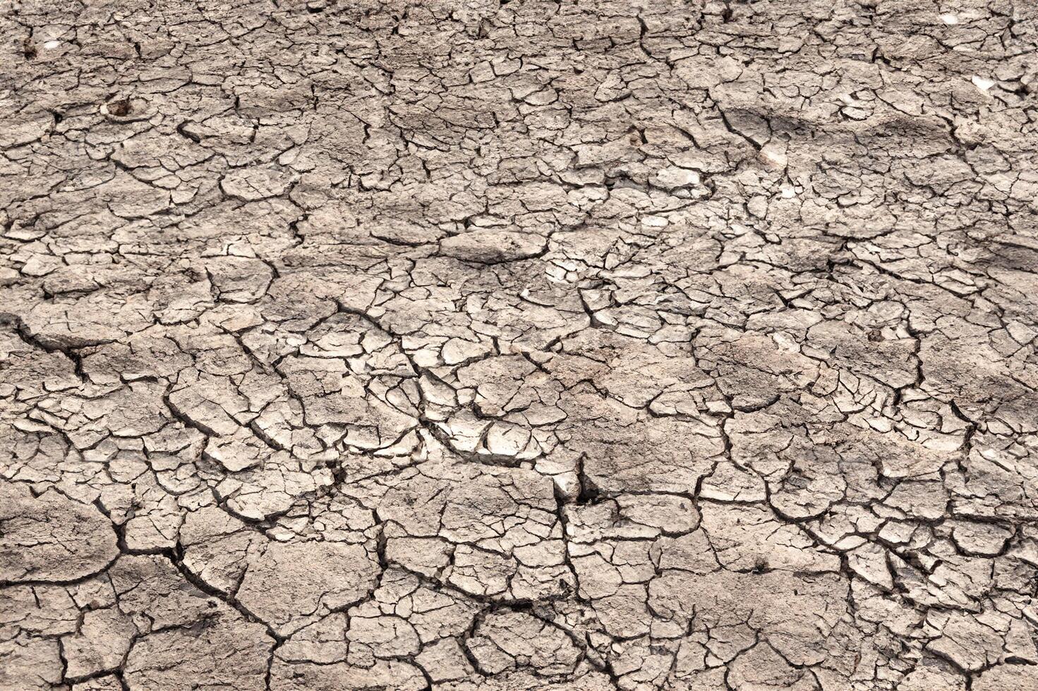 Drought Crisis, Cracked Earth Background. photo