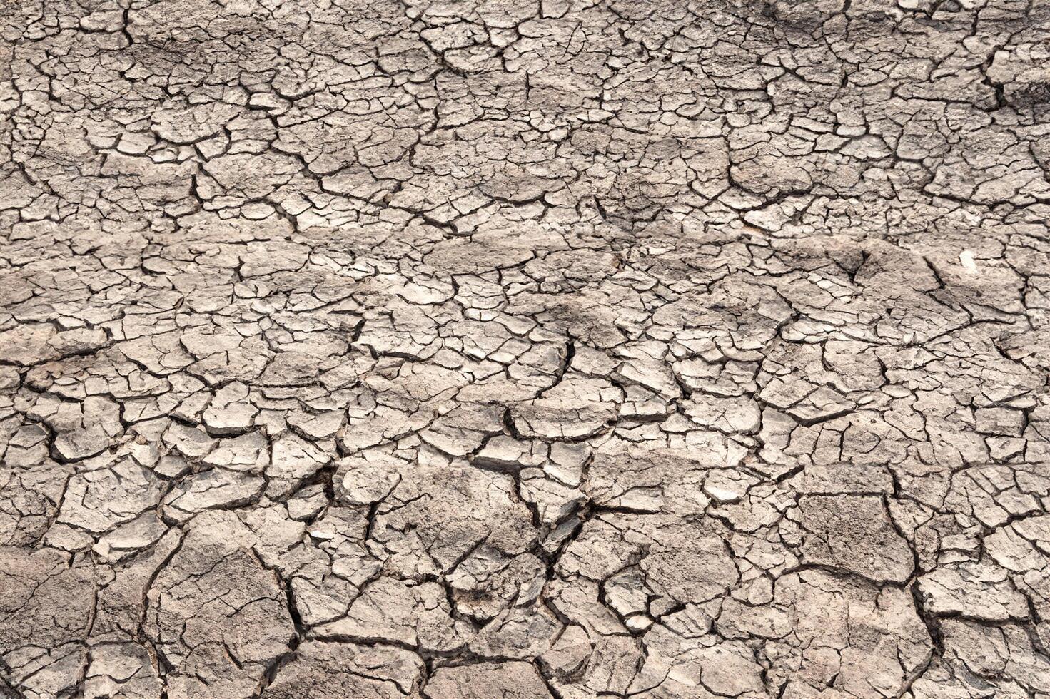 Drought Crisis, Cracked Earth Background. photo