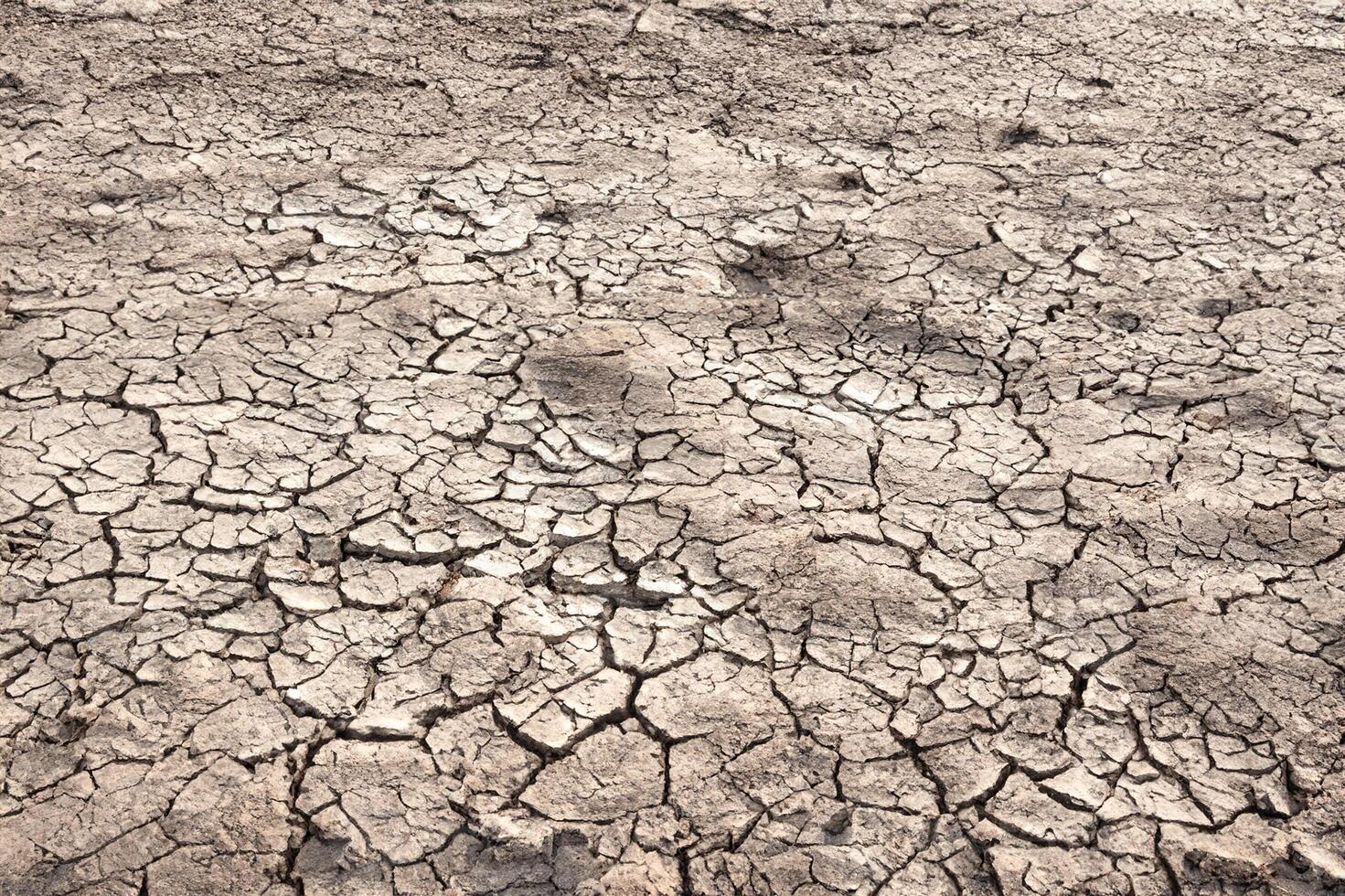 Drought Crisis, Cracked Earth Background. photo