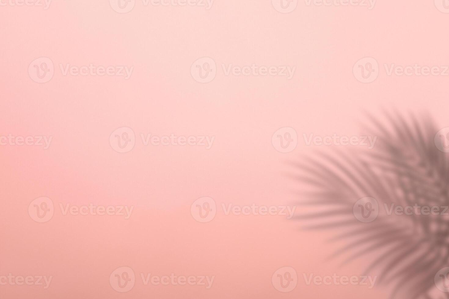 tropical oscuridad, palma hojas silueta en contra rosado pared antecedentes. foto