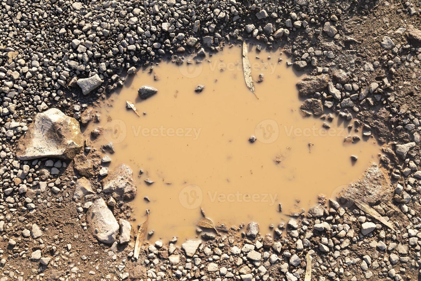 macro photography of puddle of water on sand and stone road photo