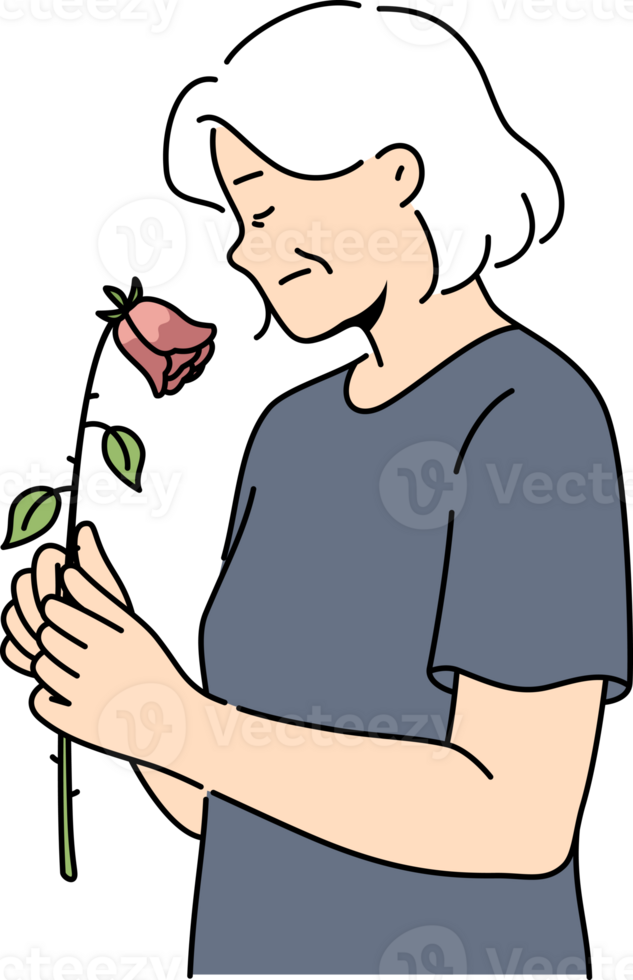 Elderly woman feels fading and weakening health or approach of death, holds withered rose. Widow experiences apathy due to age fading, for concept of aging and importance moral support for retirees png