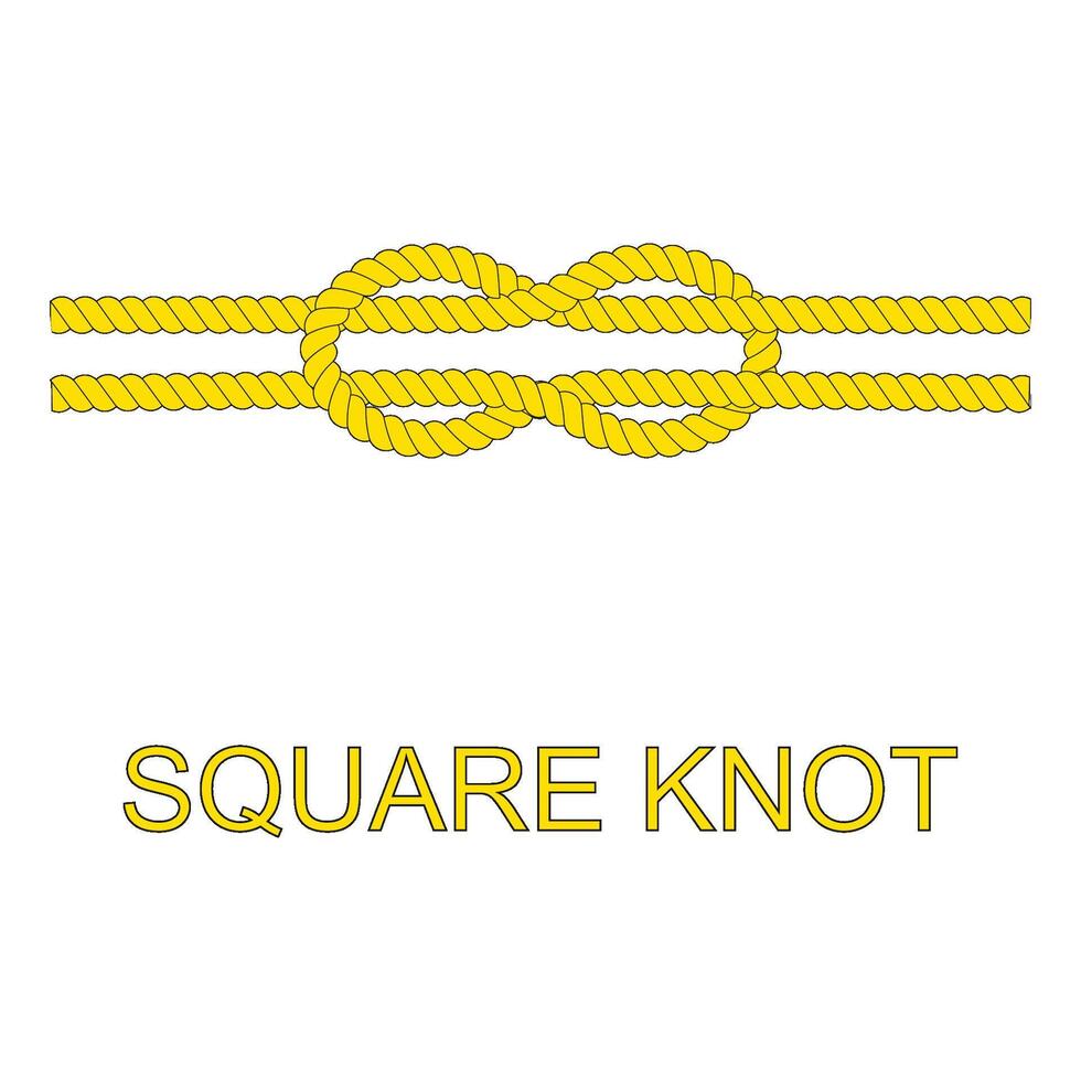 knotted rope icon with rope vector