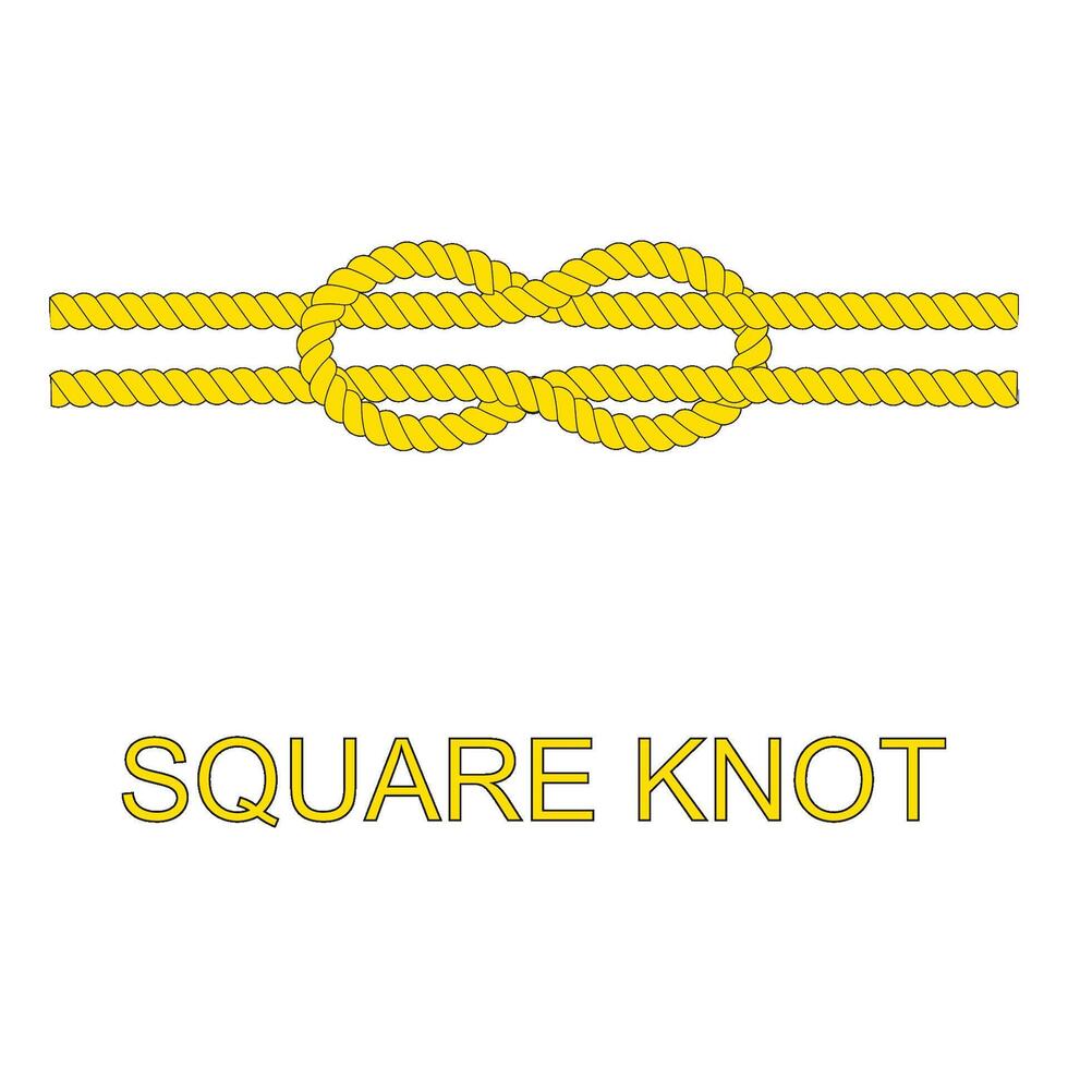 knotted rope icon with rope vector