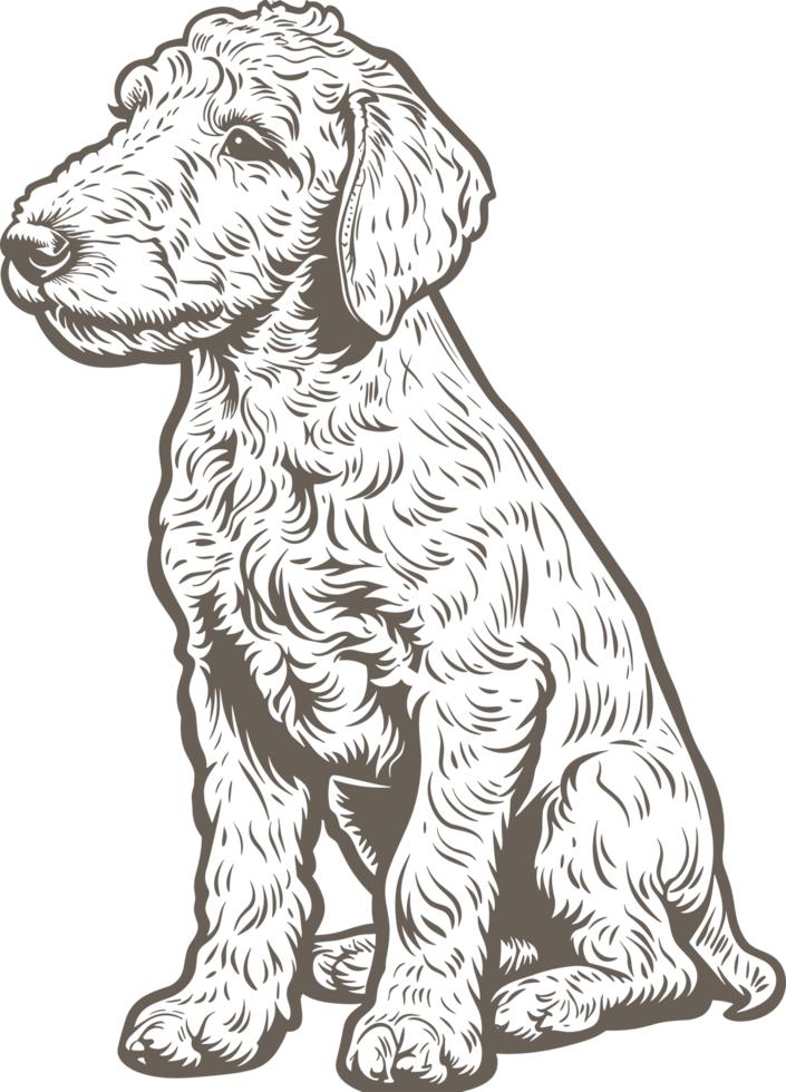 Bedlington terrier clipart design illustration png