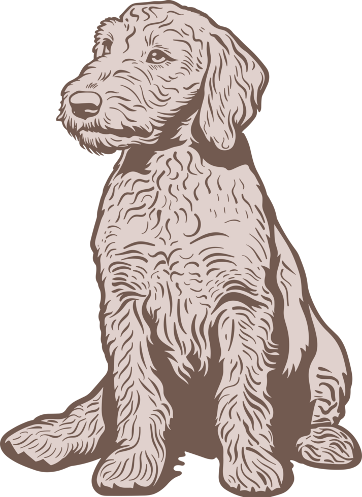 Bedlington terrier clipart diseño ilustración png