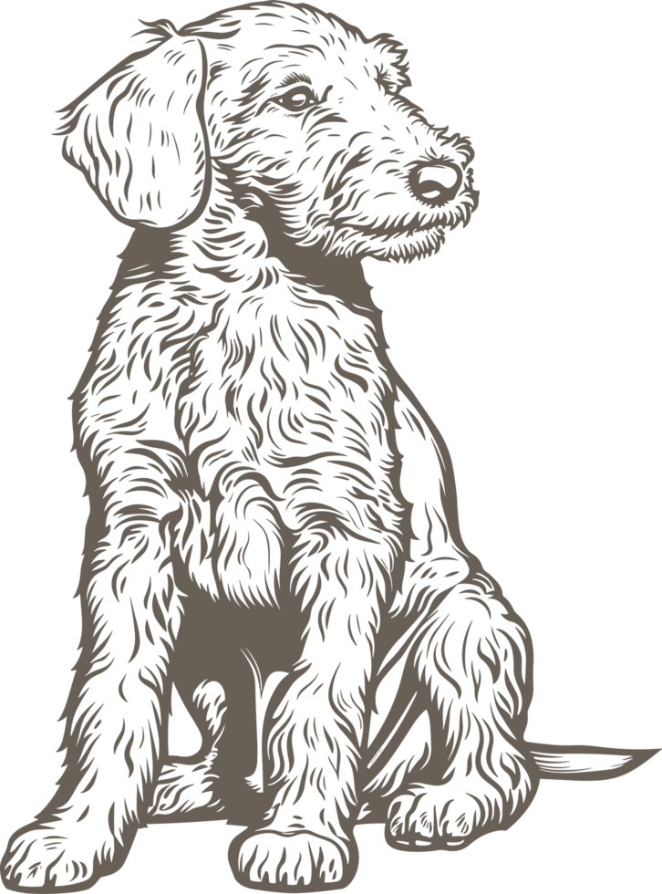 Bedlington terrier clipart design illustration png