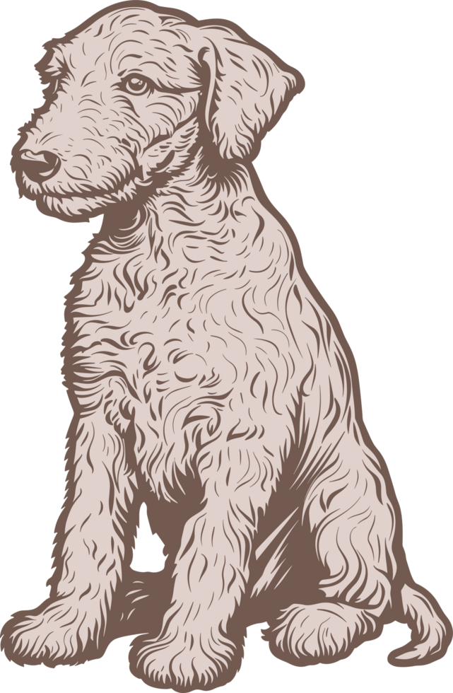 Bedlington terrier clipart design illustration png