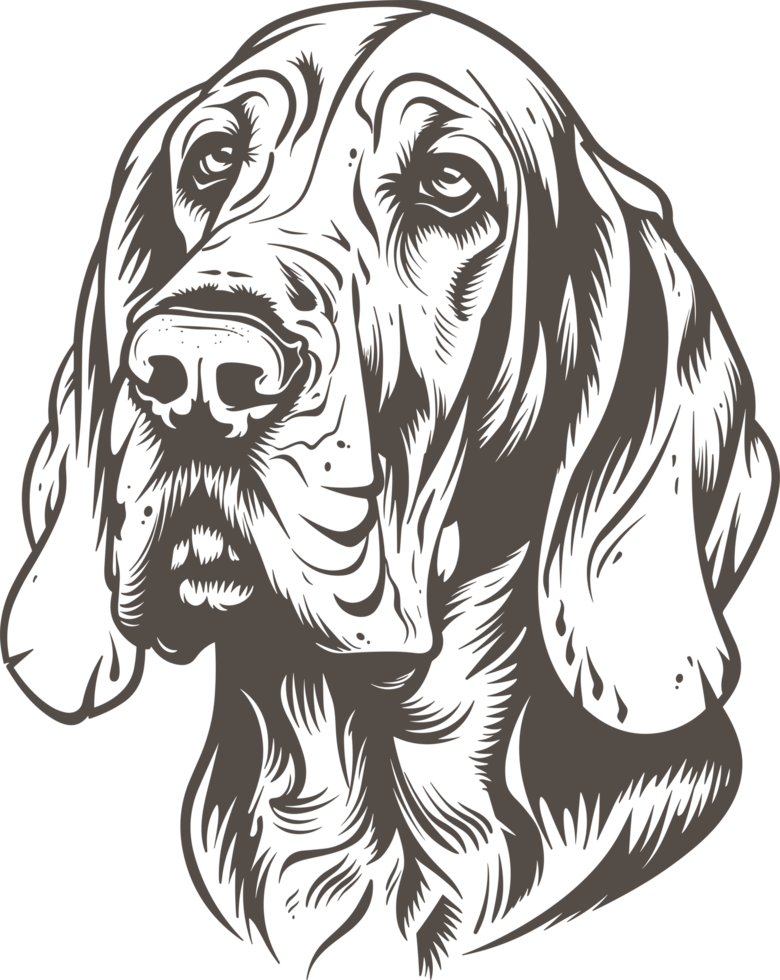 Bloodhound clipart design illustration png
