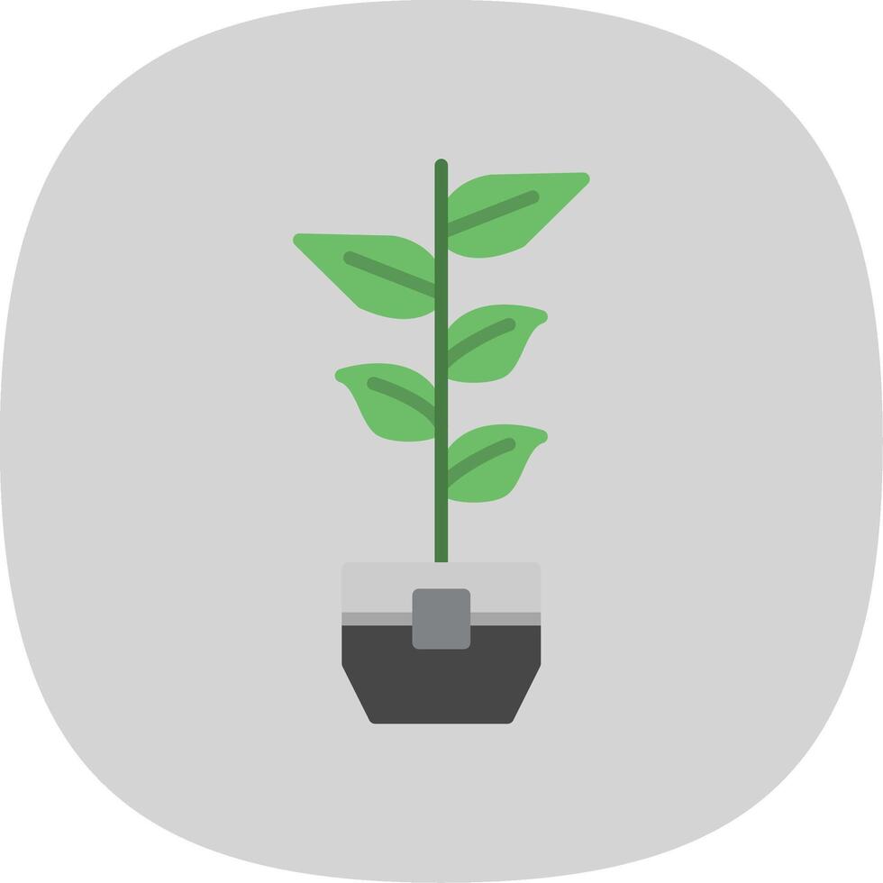 Rubber Plant Flat Curve Icon Design vector