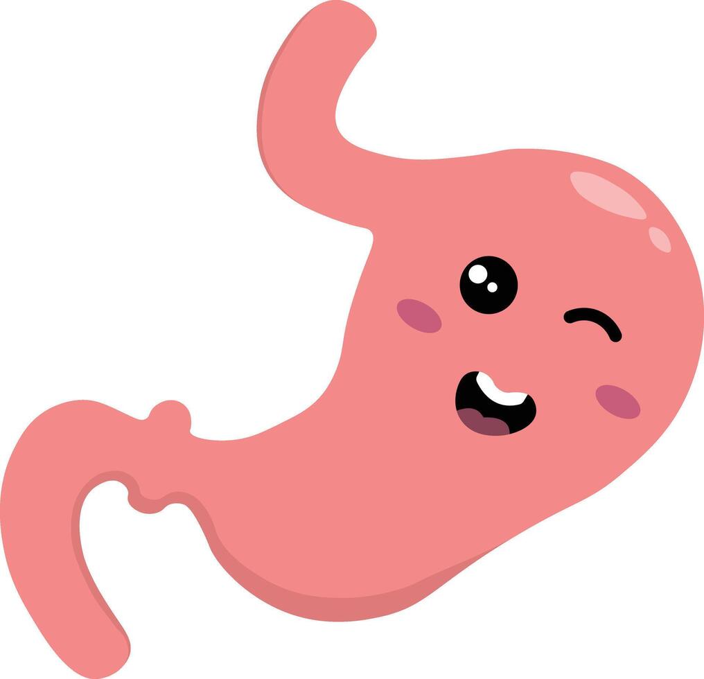 Cute Human Internal Organ Anatomy Character. Isolated on White Background vector
