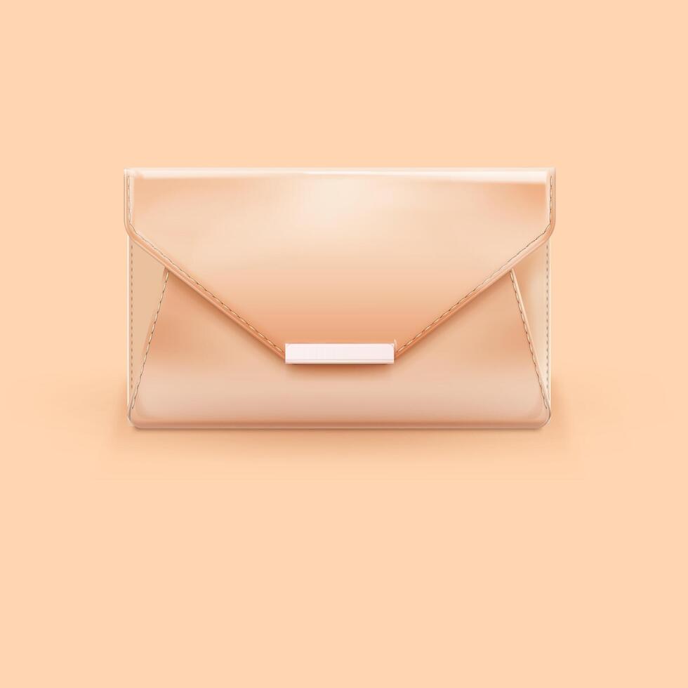 This is the picture of a party and casual bag for womens vector
