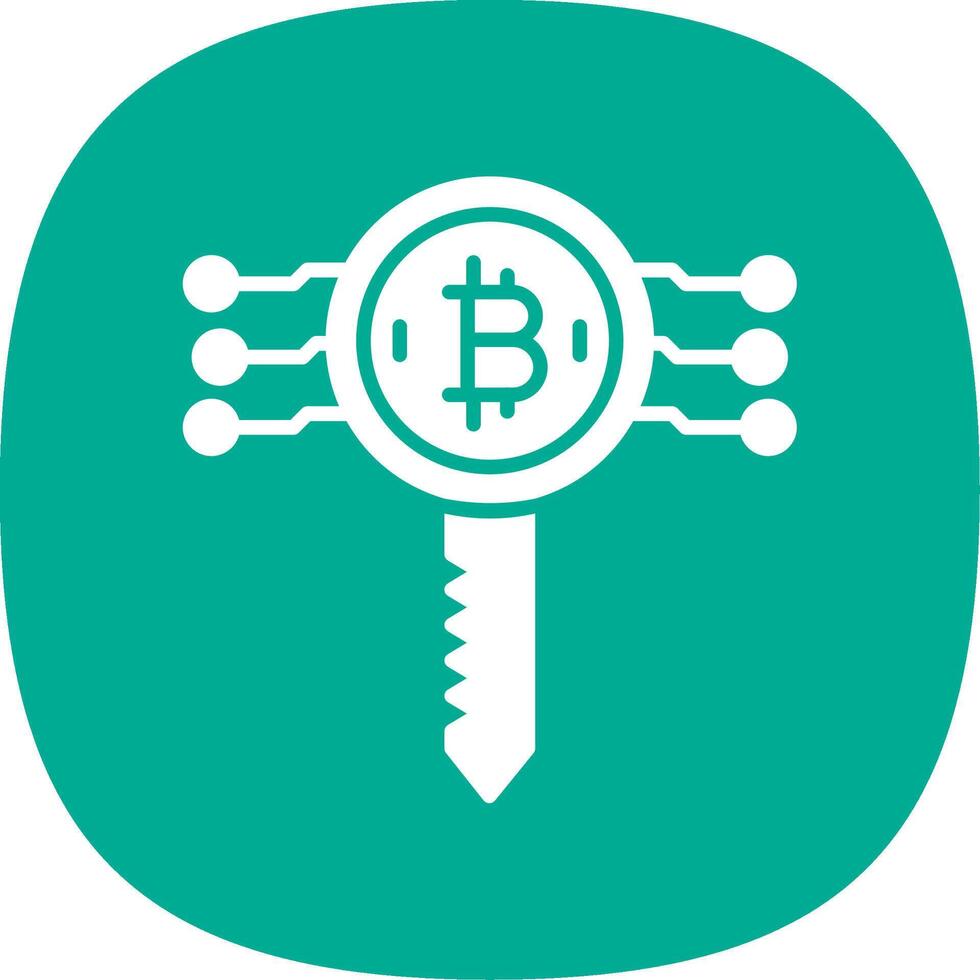 Bitcoin Key Glyph Curve Icon Design vector