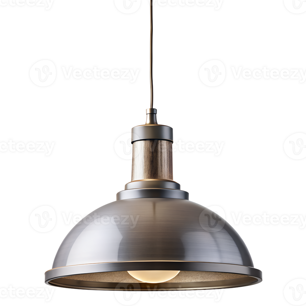 modern high ceiling hanging lamp front elevation. png