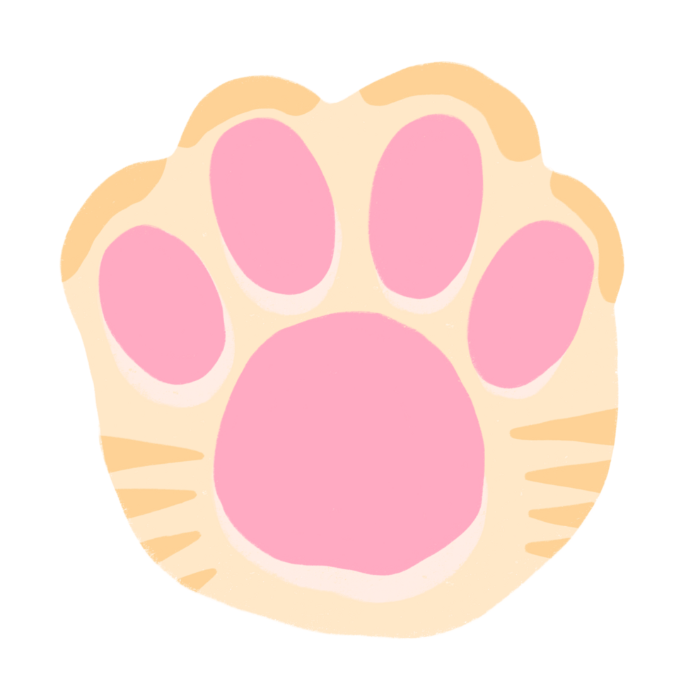 Cat Paw Cartoon illustration Tiger Cat Paw Tabby Cat Paw png