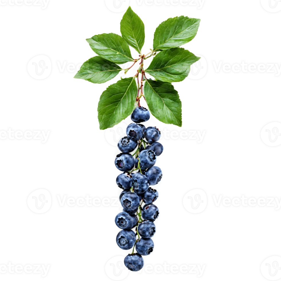 Blueberries with scattered berries and green leaves suspended in air Food and culinary concept png