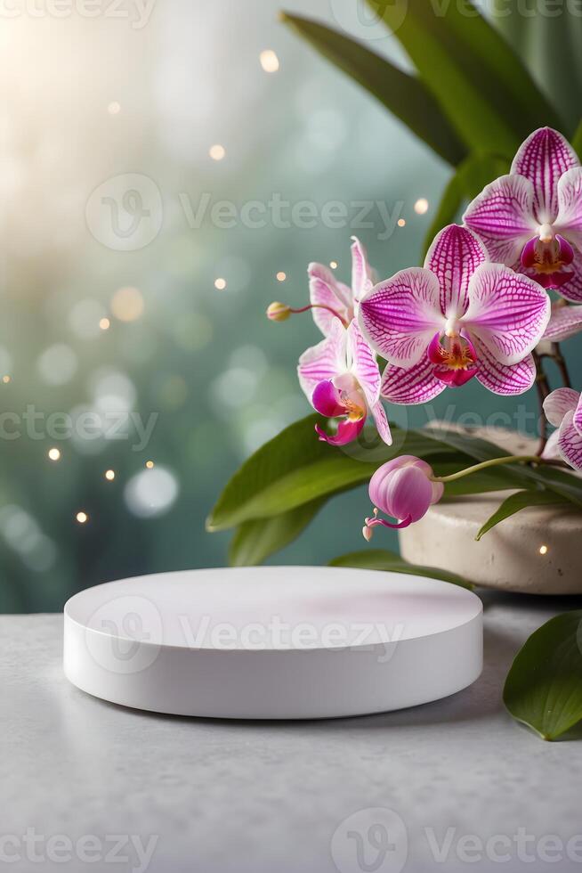 white Platform and podium background on nature and orchid for product stand display advertising cosmetic beauty products or skincare with empty round stage photo