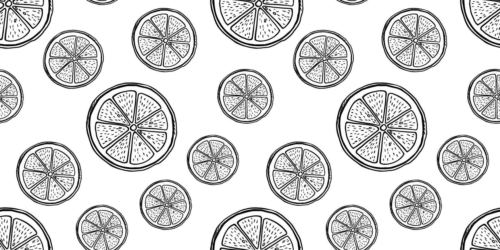 Hand drawn monochrome seamless pattern with etching lemon piece vector