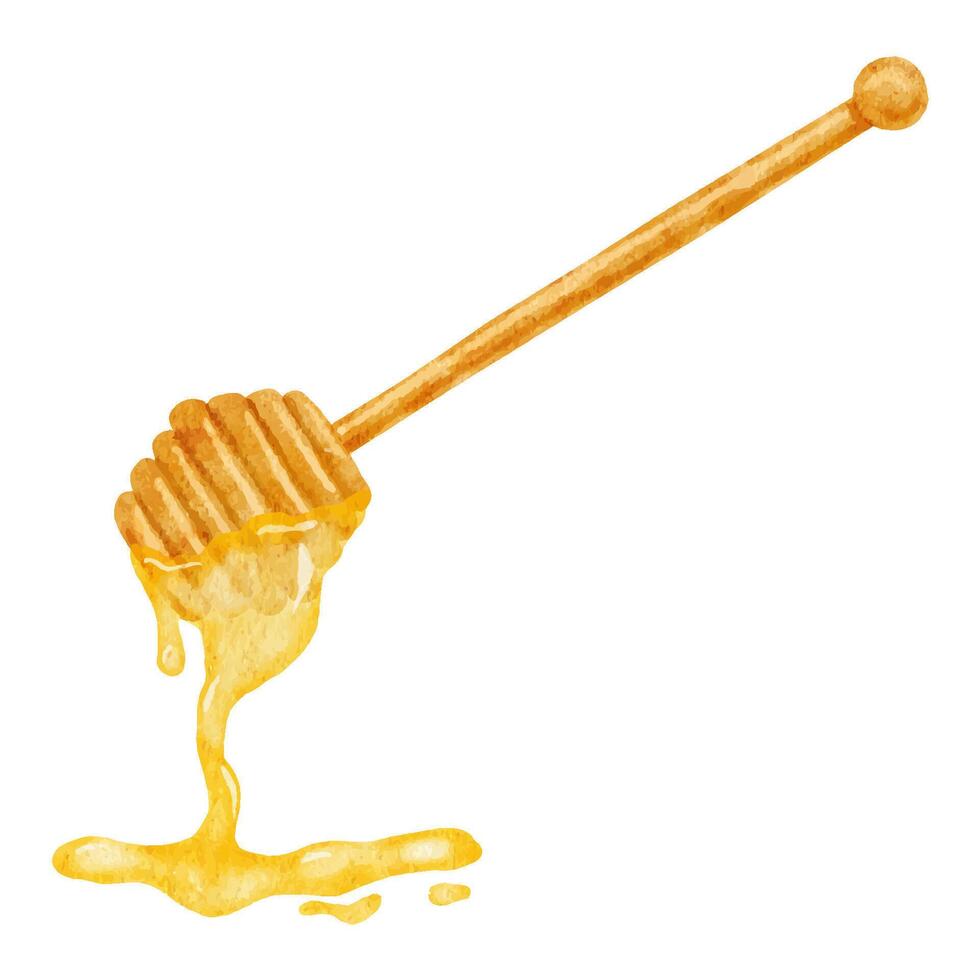 Wooden spoon with honey. Hand drawn watercolor illustration isolated on white vector