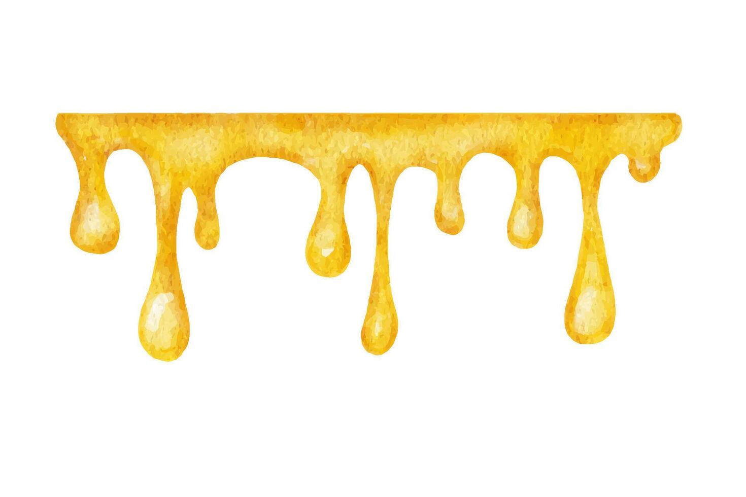 Drops of honey. Watercolor illustration isolated on white background. Border drops vector