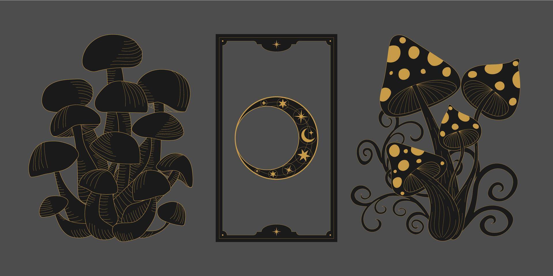 mystic celestial set a with golden outline mushrooms, fly agaric, penny bun, crescents and moon phases. Black occult shiny linear labels with a magical frame stylized as engraving vector