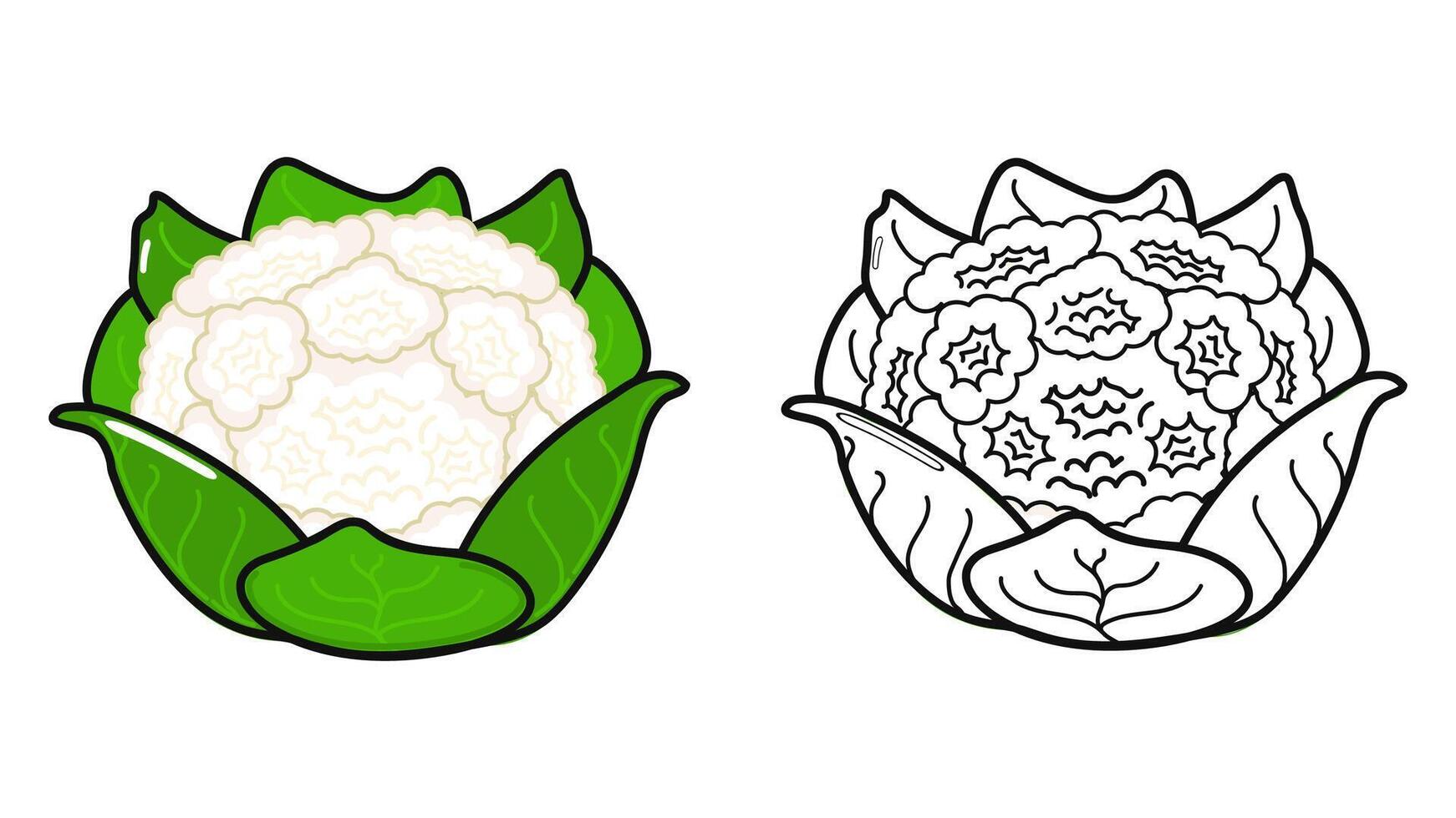 gracioso linda contento coliflor caracteres haz colocar. mano dibujado dibujos animados kawaii personaje ilustración icono. linda repollo. contorno dibujos animados ilustración para colorante libro vector