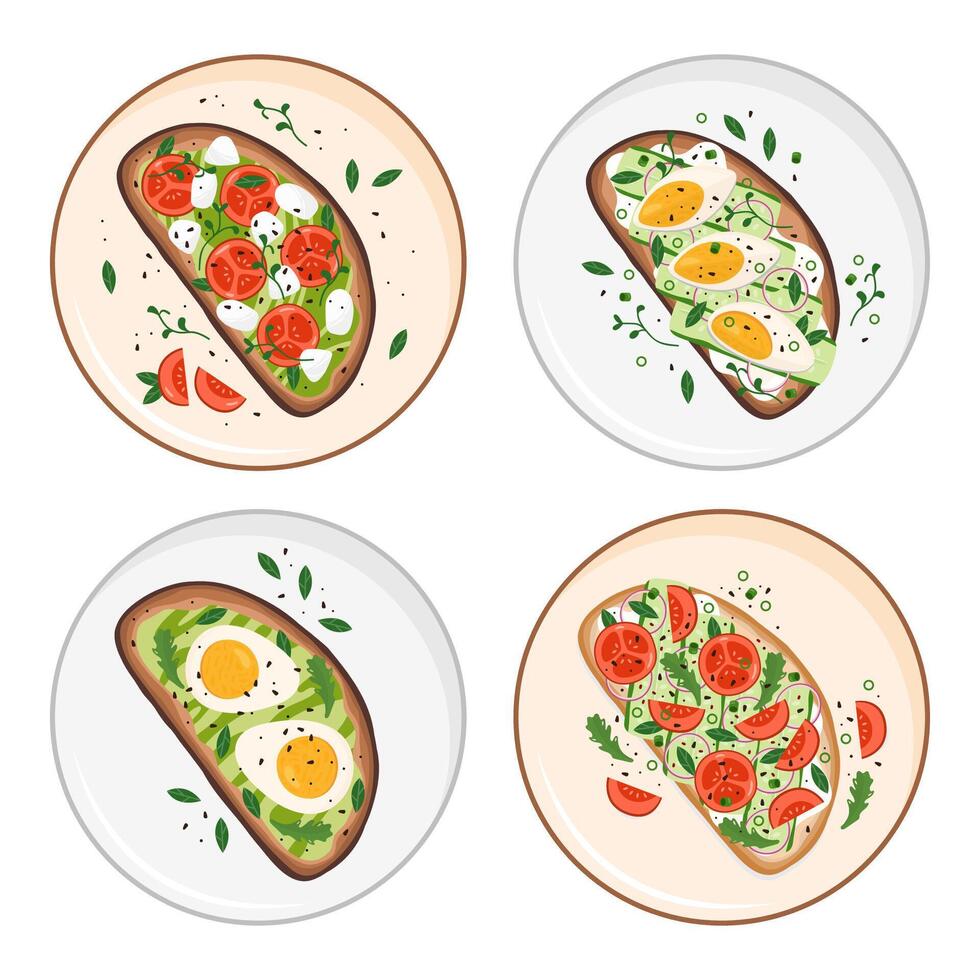 Sandwiches set top view on the plate vector