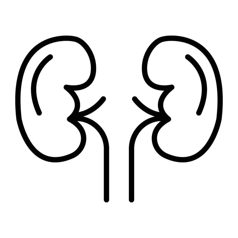Kidneys Line Icon vector
