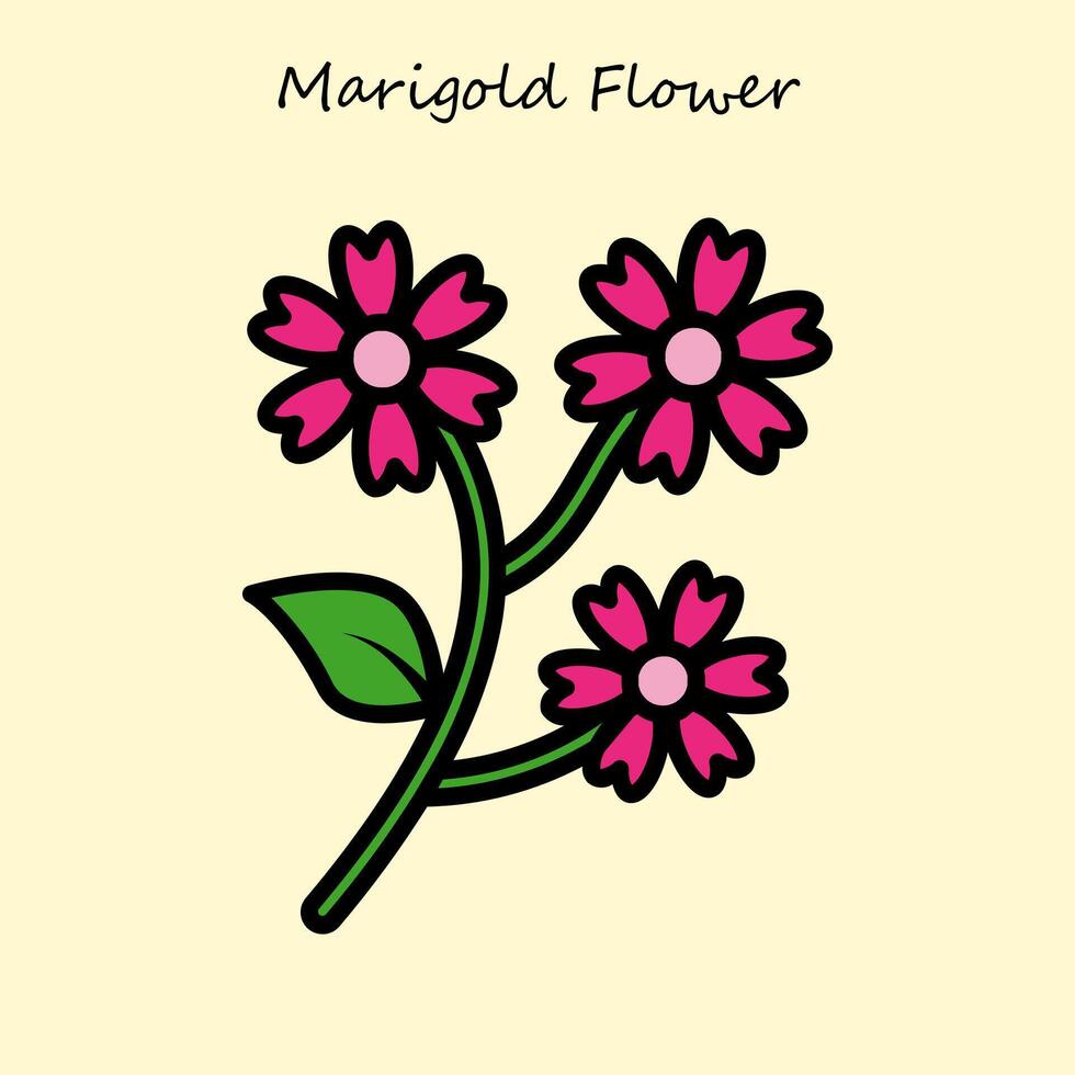 maravilla flor ilustración vector