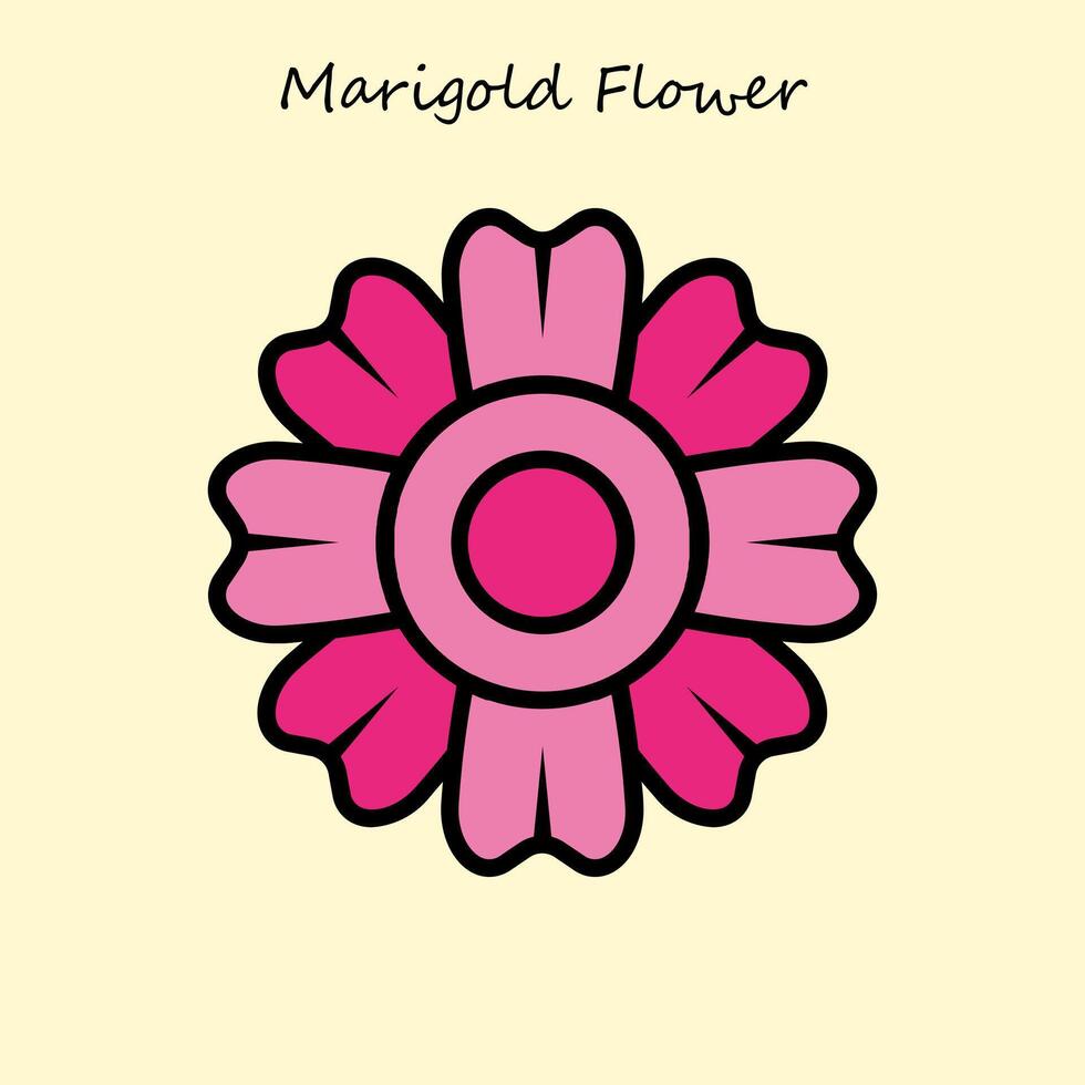 Marigold Flower Illustration vector