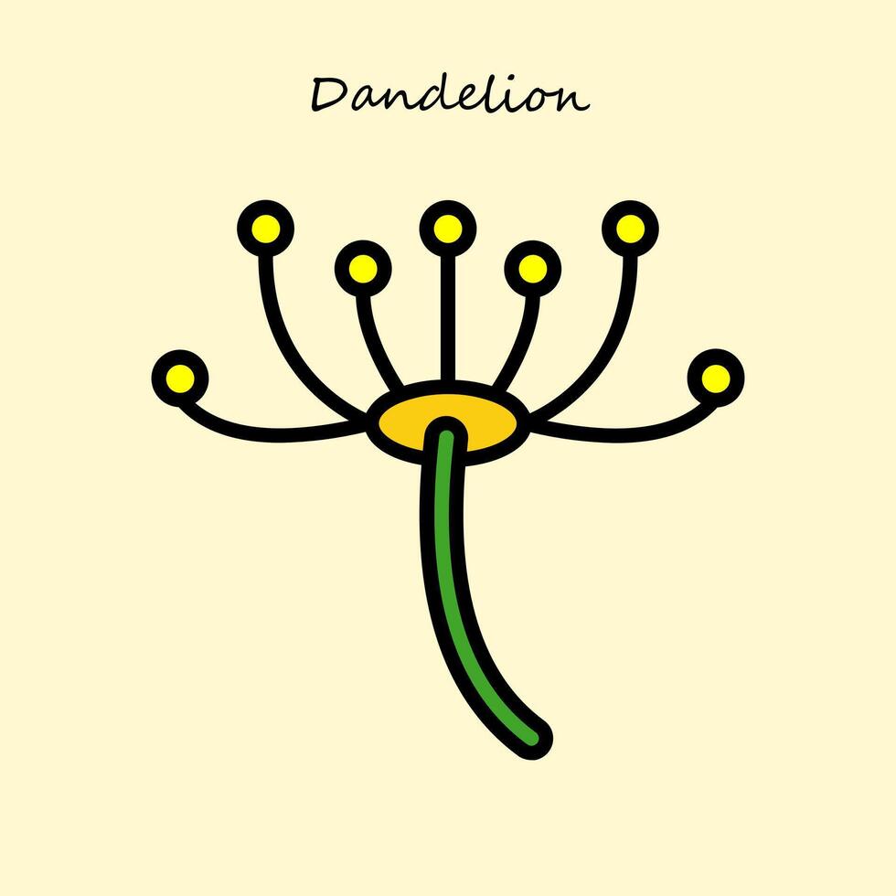 The Dandelion Flower vector
