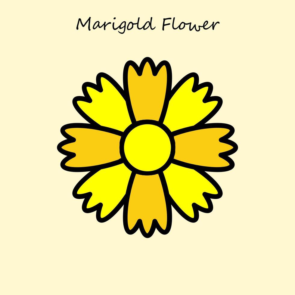 Marigold Flower Illustration vector