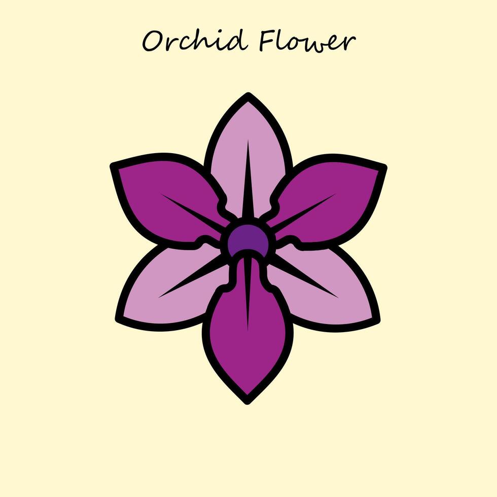 Orchid Flower Illustration vector