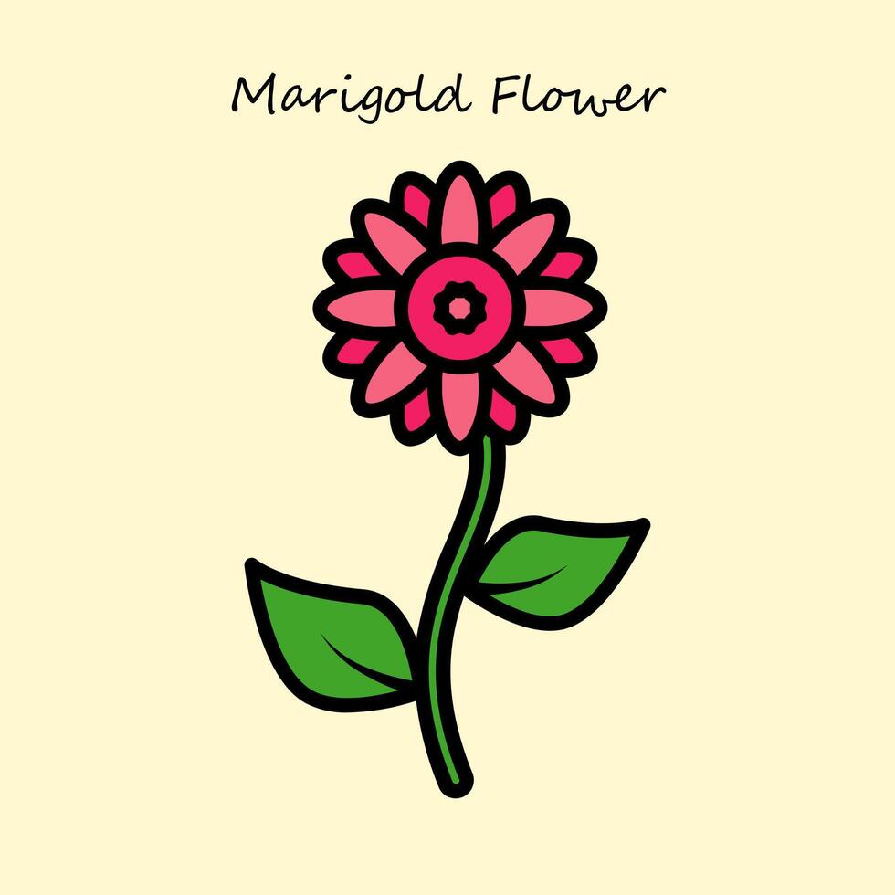 Marigold Flower Illustration vector