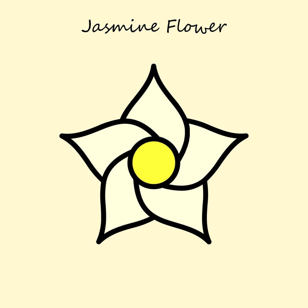 Jasmine Flower Illustration vector