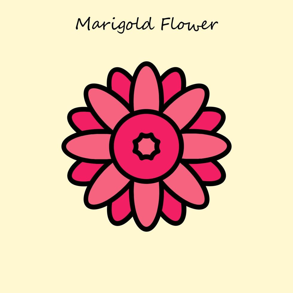Marigold Flower Illustration vector