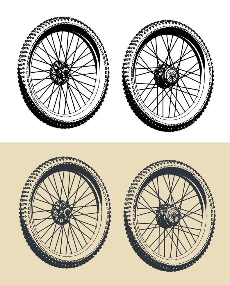 Front and rear wheels of a bicycle vector